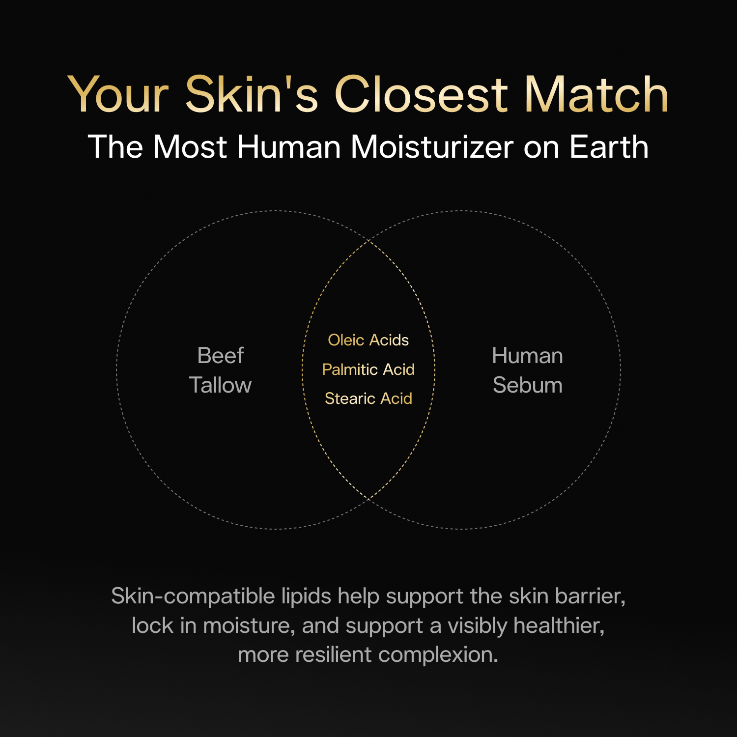 Tallow Moisturizer - Image 4